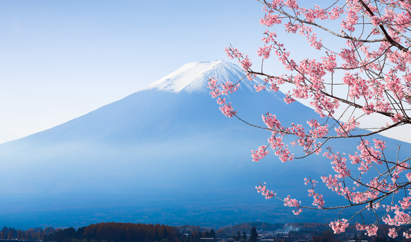 日本留遊學-在日與日商公司求職上更加分