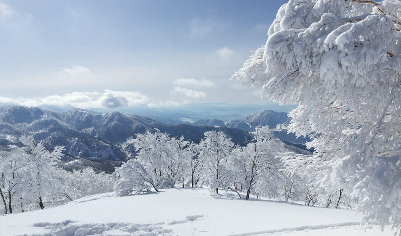 中部長野chubu-nagano-gogojapan