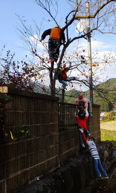 日本留遊學  大分縣的稻草人村