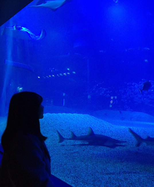 日本遊學-當地水族館