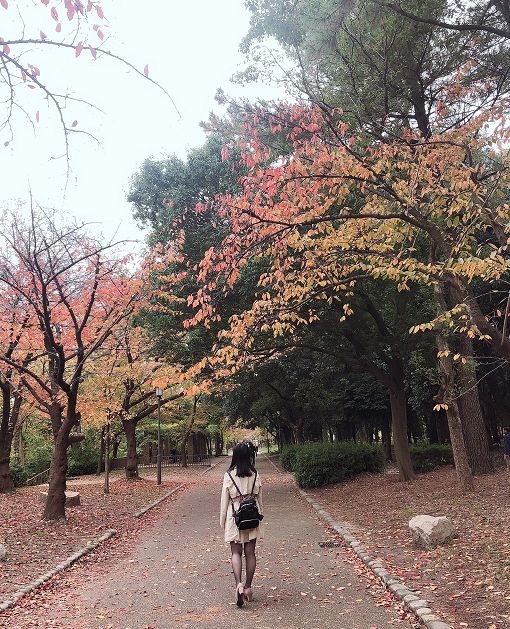 日本遊學美景